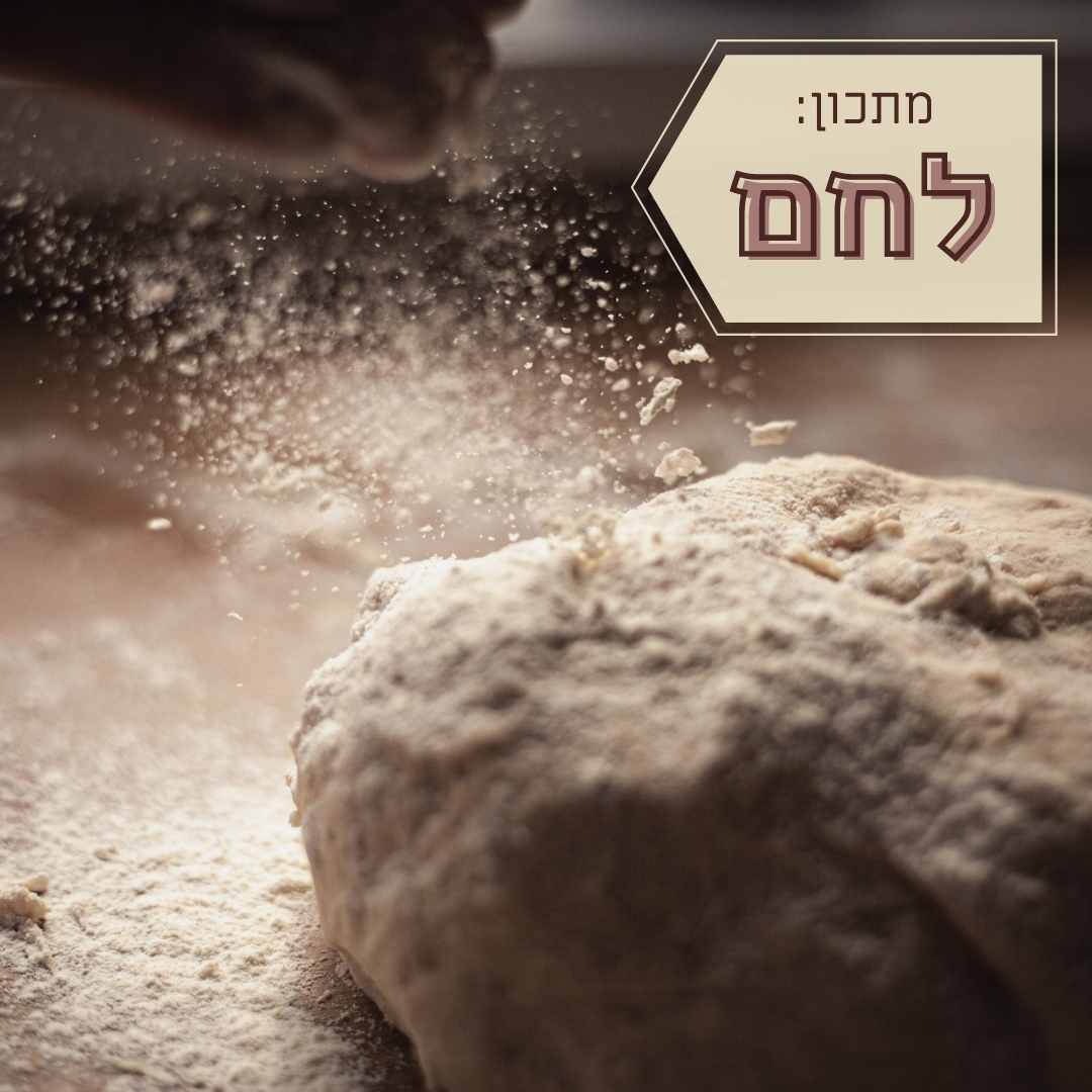 מתכון לחם מקמח מלא